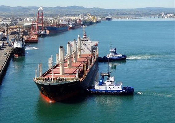 We are able to arrange the most effective transportation of the client’s cargo from reputable ship owners. We also negotiate charter party agreements with competitive freight rates.